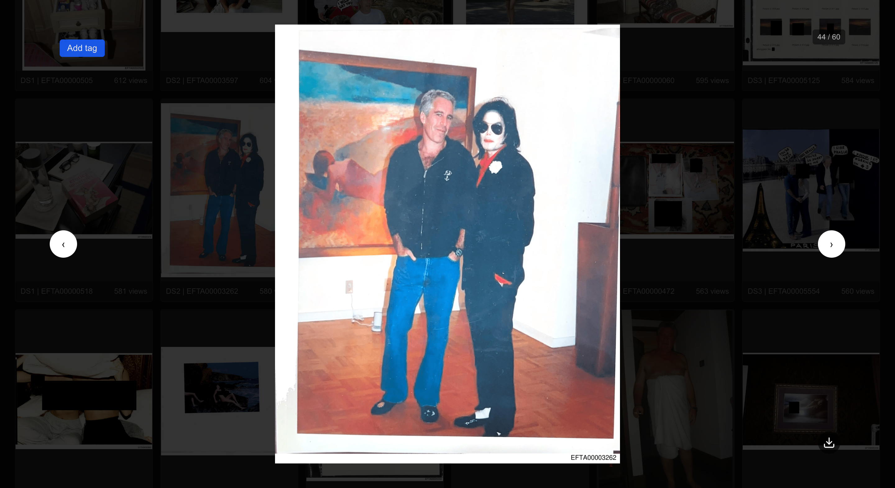 Epstein Library Modal